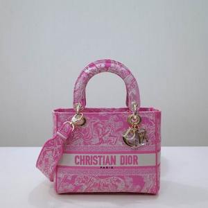 DIOR Handbags 375